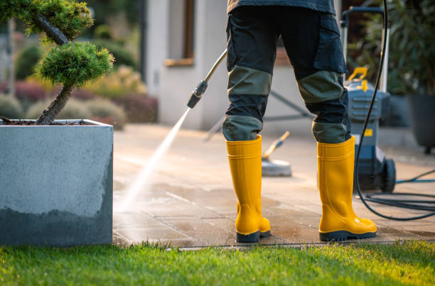 Best Power Washing Near Me  in Piedmont, SD